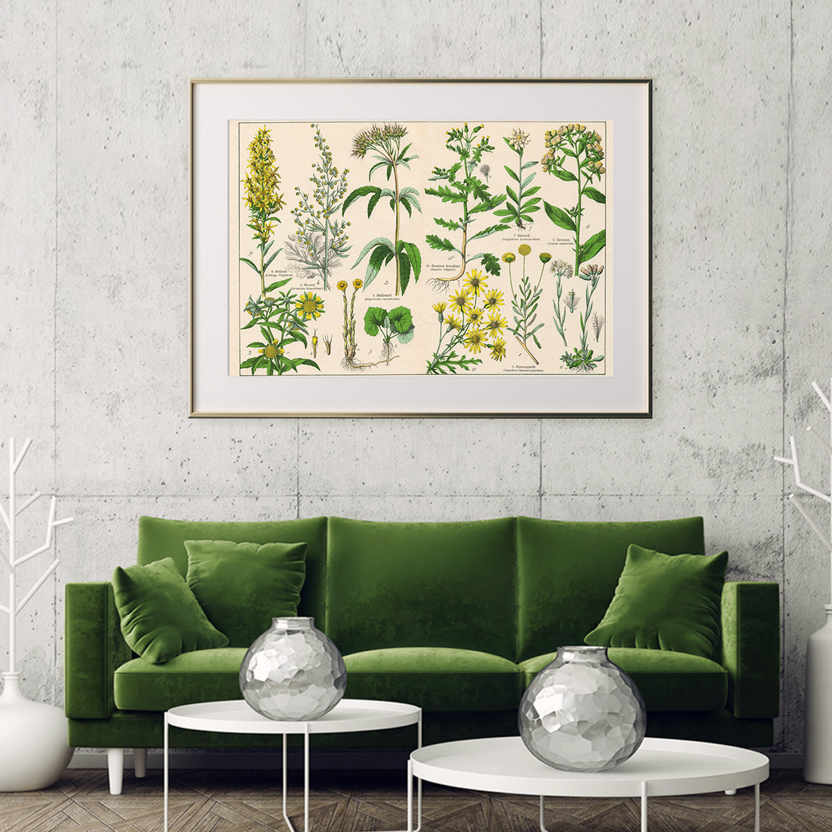 Antique Botanical Prints Posters Wall Art-Horizontal Posters NOT FRAMED-CetArt-10″x8″ inches-CetArt