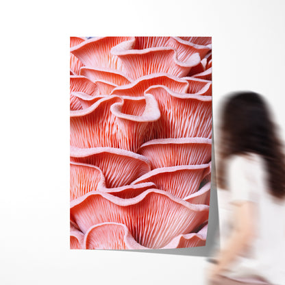 Pink Oyster Mushrooms Rooms Posters Wall Art Prints-Vertical Posters NOT FRAMED-CetArt-8″x10″ inches-CetArt