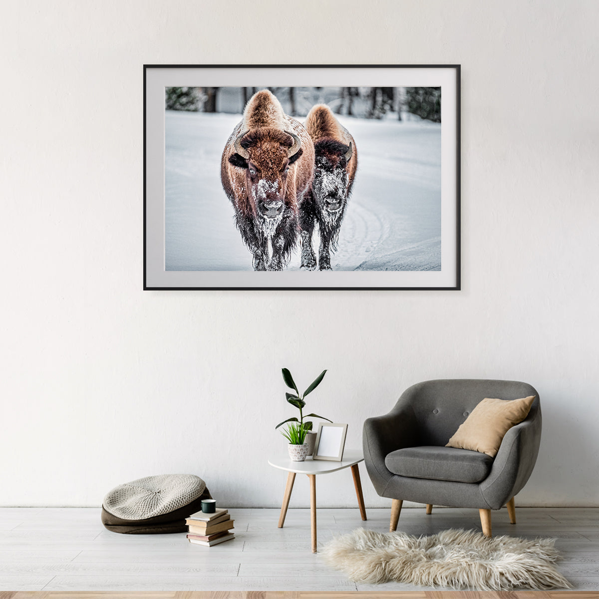 Bison in Winter Room Posters Wall Art-Horizontal Posters NOT FRAMED-CetArt-10″x8″ inches-CetArt