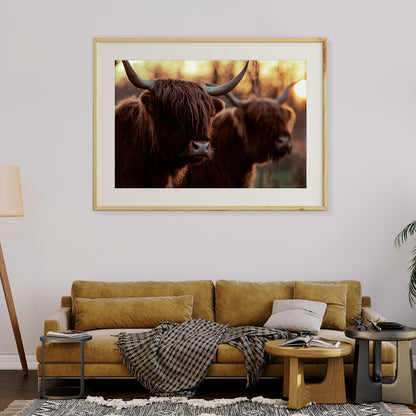 Highland Cows Posters And Wall Art Prints For Living Room-Horizontal Posters NOT FRAMED-CetArt-10″x8″ inches-CetArt