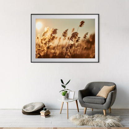 Reeds in Rays of Setting Sun Poster For Living Room-Horizontal Posters NOT FRAMED-CetArt-10″x8″ inches-CetArt