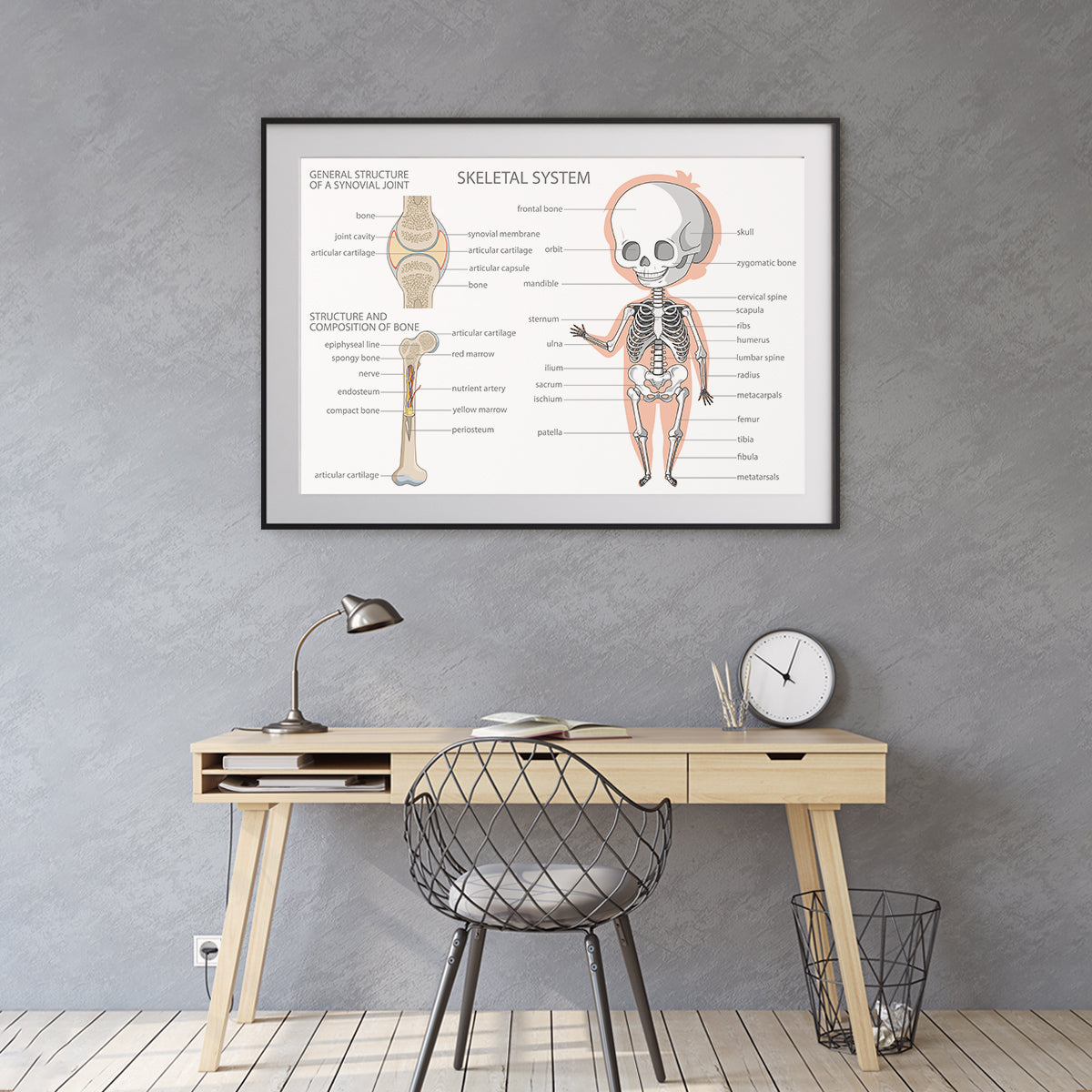 Human Skeleton Anatomy Posters Decoration for Interior-Horizontal Posters NOT FRAMED-CetArt-10″x8″ inches-CetArt