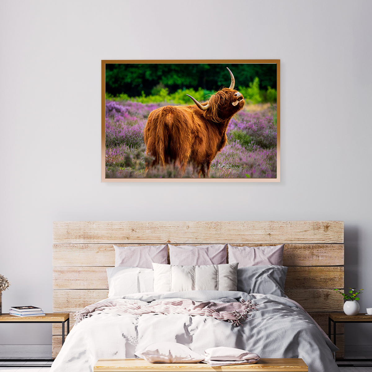 Scottish Highlander Cow in Meadow Posters Prints Wall Decor-Horizontal Posters NOT FRAMED-CetArt-10″x8″ inches-CetArt