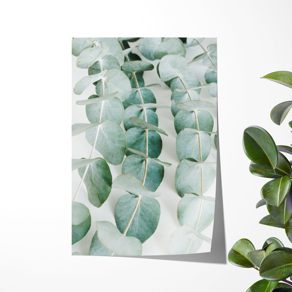 Green Eucalyptus Leaves Posters Wall Art Prints-Vertical Posters NOT FRAMED-CetArt-8″x10″ inches-CetArt