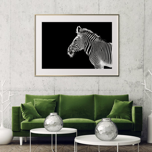 Zebra Black White Portrait Wild Animal Posters-Horizontal Posters NOT FRAMED-CetArt-10″x8″ inches-CetArt