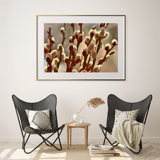 Willow Branches Posters Prints Wall Decor-Horizontal Posters NOT FRAMED-CetArt-10″x8″ inches-CetArt