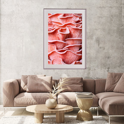 Pink Oyster Mushrooms Rooms Posters Wall Art Prints-Vertical Posters NOT FRAMED-CetArt-8″x10″ inches-CetArt