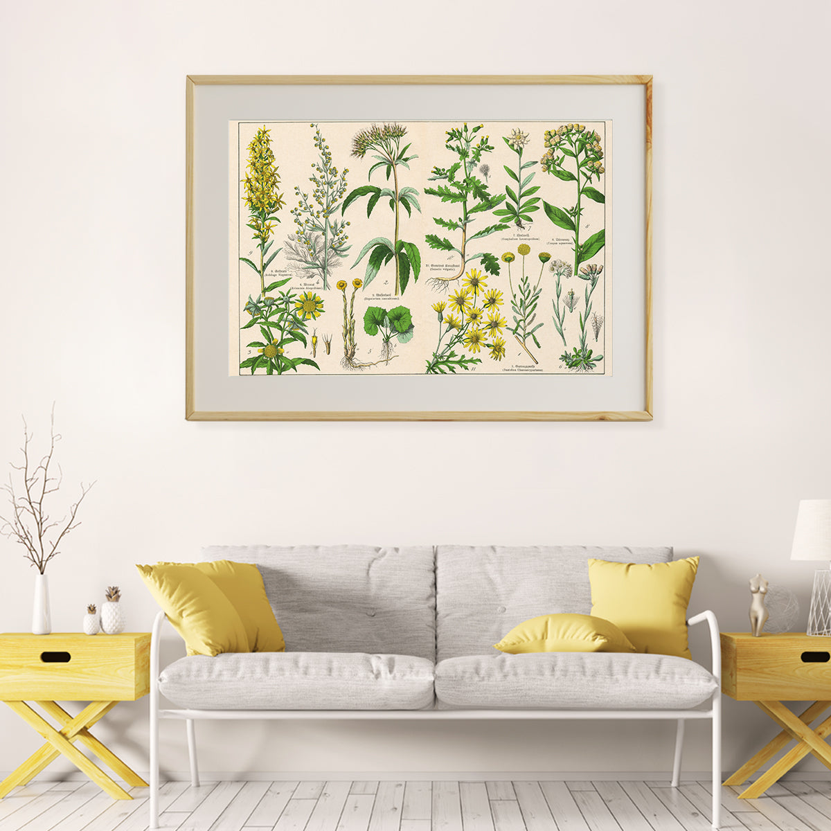 Antique Botanical Prints Posters Wall Art-Horizontal Posters NOT FRAMED-CetArt-10″x8″ inches-CetArt